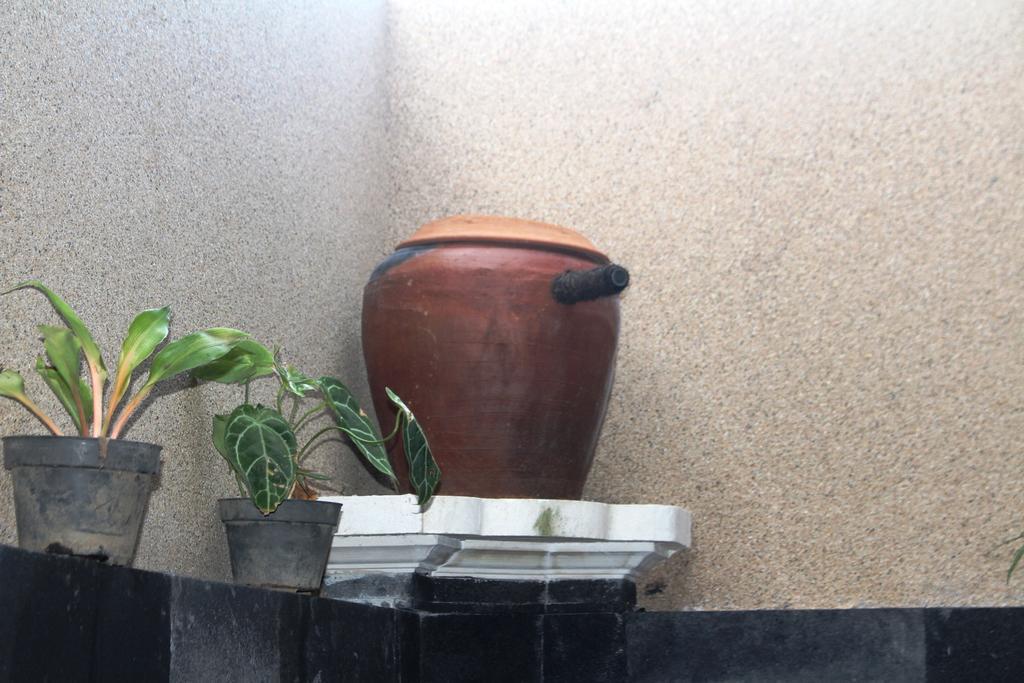 Pande Guest House Pemuteran Εξωτερικό φωτογραφία