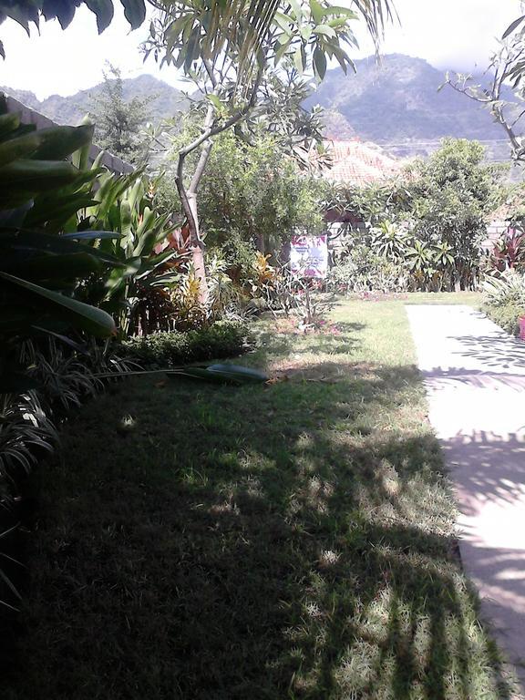 Pande Guest House Pemuteran Εξωτερικό φωτογραφία